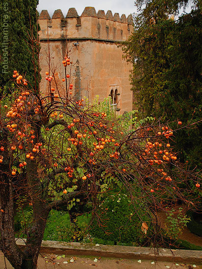 Torre de los Picos en la Alhambra